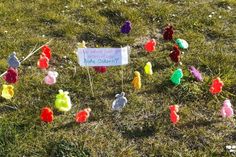 Diese selbst gehäkelten Häschen wurden auf der Wiese in Pelzerhaken entdeckt.