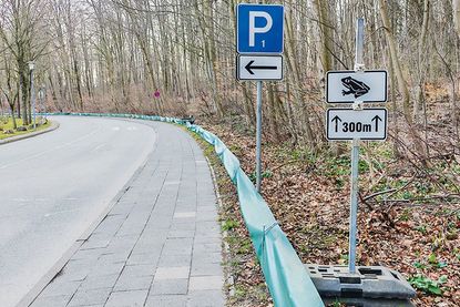 Der Amphibienzaun in der Wohldstraße steht wieder