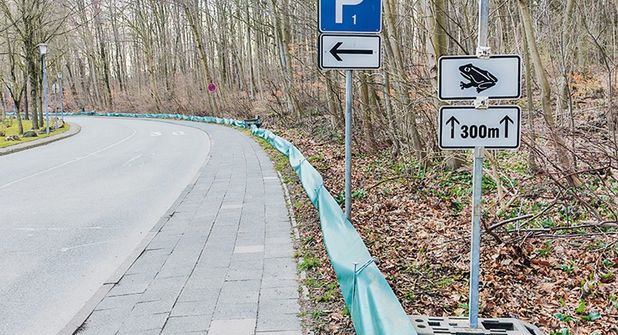 Der Amphibienzaun in der Wohldstraße steht wieder