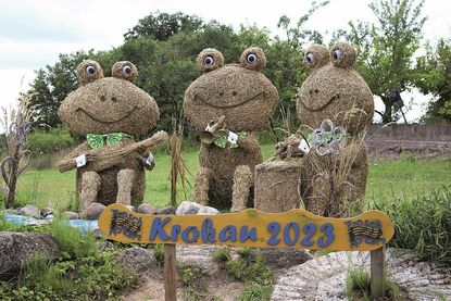 Das Froschkonzert
