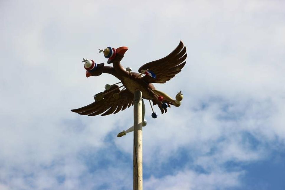 Dieser Holzvogel musste bezwungen werden und Benjamin Laudt holte ihn letztendlich vom Mast.
