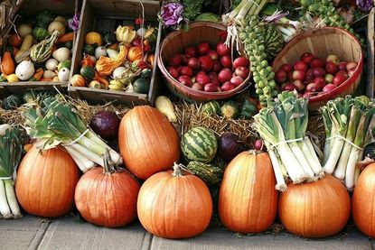 Am ersten November-Wochenende findet die „Scharbeutzer Herbstpartie“ statt.