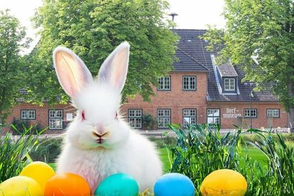 Die Pastoren Dr. Arnd Heling und Jörg Reimann gehen in ihrem Vortrag der Frage nach, warum der Osterhase Eier legt.