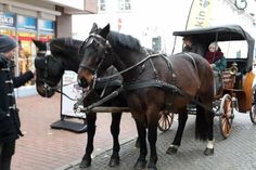 Weihnachtliche Kutschfahrten durch die Innenstadt.