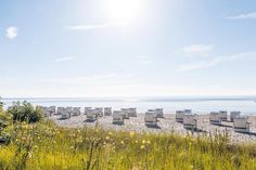 Informationen zur Auslastung der Ostseestränden in der Lübecker Bucht soll der neue Strandticker im Internet liefern.