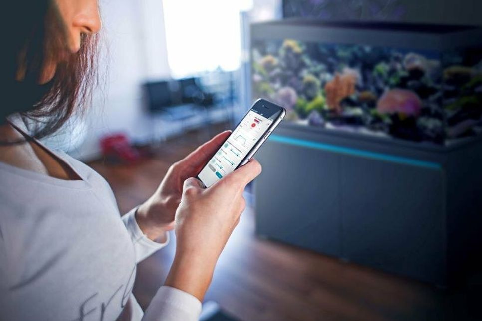 Per Smartphone, Tablet oder PC lässt sich die smarte Aquarientechnik steuern und kontrollieren. Foto: djd/Eheim/pexels/picjumbocom