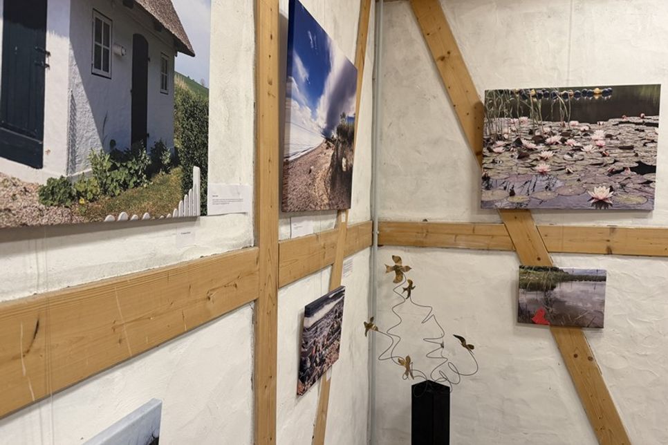 Nicht nur Fotografien, sondern auch Skulpturen bereicherten die Ausstellung in der Festscheune am Paasch-Eyler-Platz.