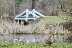 Während der Wanderung halten die Pilger mehrfach an, um die Natur zu erleben.