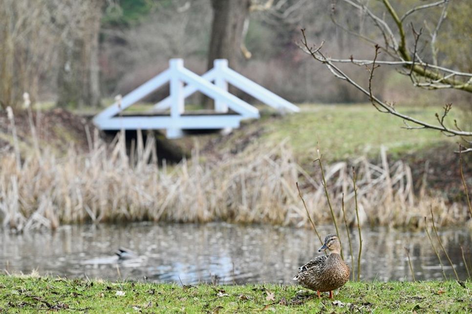 Während der Wanderung halten die Pilger mehrfach an, um die Natur zu erleben.
