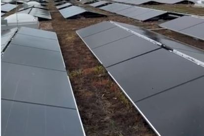 Das begrünte und mit PV ausgestattete Dach.