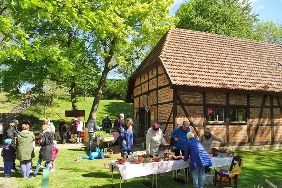Im Kreisagrarmuseum Dorf Mecklenburg gibt es neben historischen Schleppern, Dreschkästen und Flugzeugen auch einen Einblick in die Entwicklung der Landwirtschaft in der ehemaligen DDR.