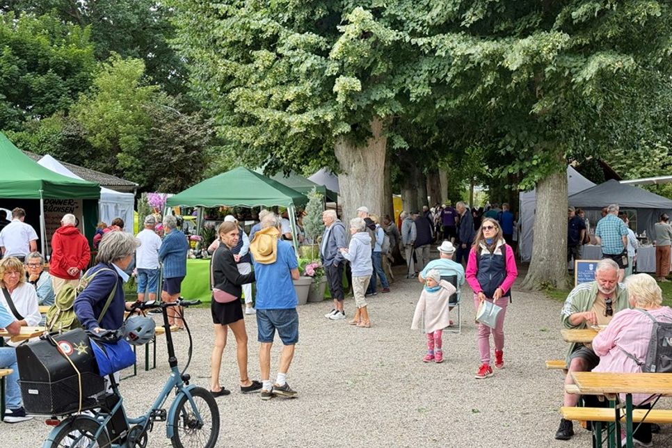 Die vielen Besucherinnen und Besucher konnten schlemmen, stöbern und genießen.