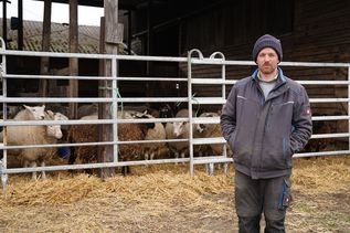 Phil Marschall hat seine Schafe vorübergehend im Stall untergebracht.