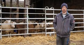 Phil Marschall hat seine Schafe vorübergehend im Stall untergebracht.