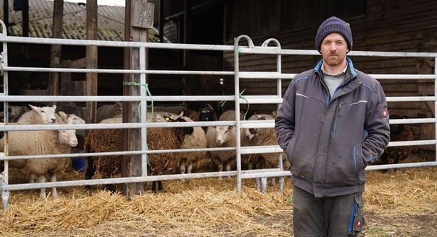 Phil Marschall hat seine Schafe vorübergehend im Stall untergebracht.