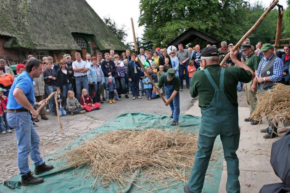 Der Drescher oberstes Gebot und ganzer Stolz war das Takthalten, denn sonst hätten sie sich den Flegel leicht gegenseitig um die Ohren hauen können.