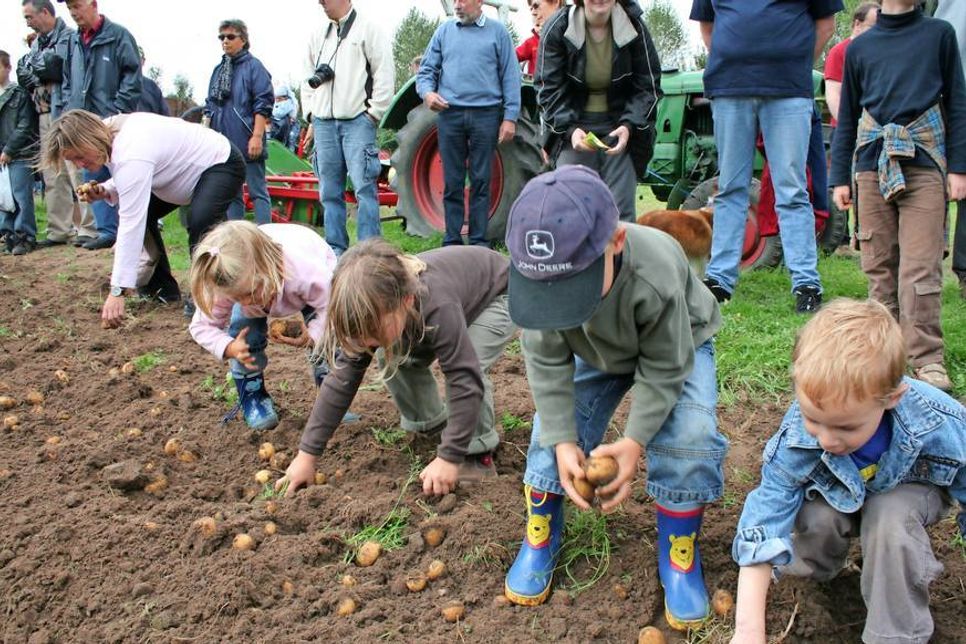 Die Kartoffelernte ist ein großes Vergnügen für Jung und Alt.