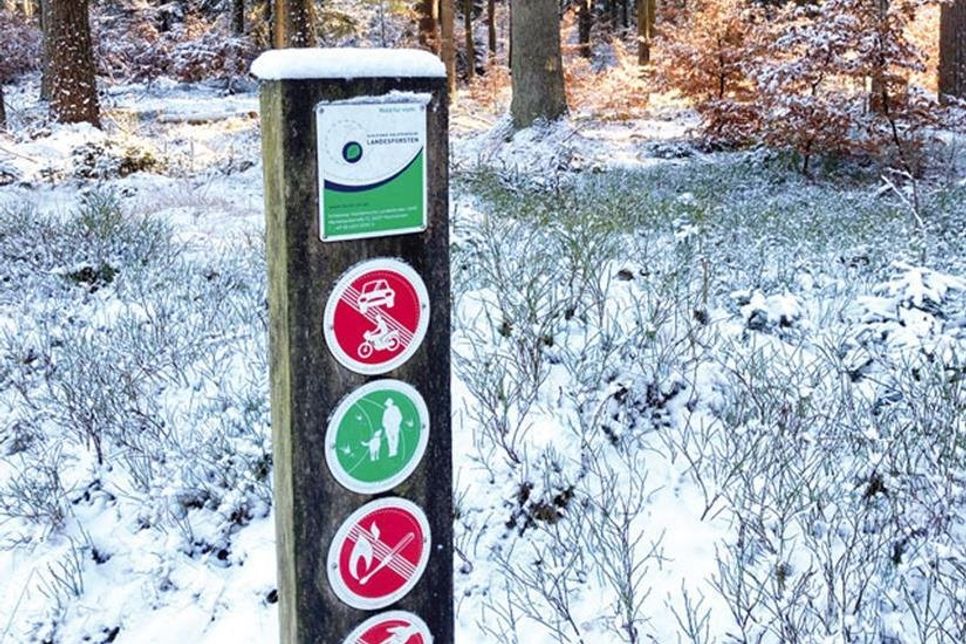 Am Waldeingang weisen Schilder auf wichtige Verhaltensweisen hin, die es im Wald zu berücksichtigen gilt.