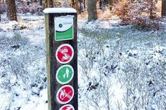 Am Waldeingang weisen Schilder auf wichtige Verhaltensweisen hin, die es im Wald zu berücksichtigen gilt.
