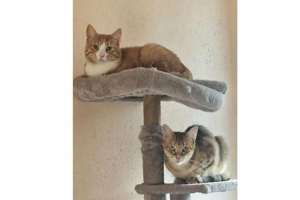 Sind ein tolles Team: Lucy und Bobby.