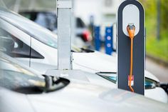 Foto: Malte Reiter - stock.adobe.com