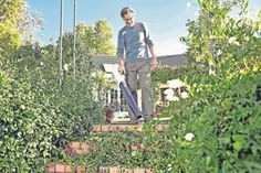 Der Frühjahrsputz rund ums Haus und im Garten muss sein. Besonders bequem, leise und sicher geht die Arbeit mit Akku-Geräten von der Hand. Foto: djd/STIHL