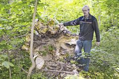 Revierförster Karsten Tybussek zeigt bei der umgestürzten Esche auf den ausgehöhlten Stamm kurz oberhalb der Wurzeln, verursacht durch die Wurzelfäule, die der „Falsche Weiße Stängelbecherchen“ zu verantworten hat. (Foto: René Kleinschmidt)