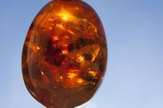 Bernstein suchen:
Direkt vor unserer Haustür warten die Schätze der Ostsee, darauf gefunden zu werden. Mit einer Schwarzlichtlampe ausgestattet, findet man nach hohem Wasserstand und Sturm am ehesten das sogenannte „Gold der Ostsee“. Für Kinder steht die Beschäftigung so sehr im Vordergrund, dass die Spaziergeh-Muffel unter ihnen gar nicht merken, wie viel Strecke sie am Ende des Tages zurückgelegt haben.