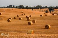 Diese Abendstimmung über dem Gut Sierhagen hat Ute Pe für uns festgehalten.