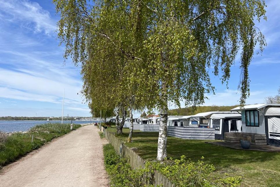 Strandnah, schattig, entspannt: So schön liegen viele Campingplätze in der Region.