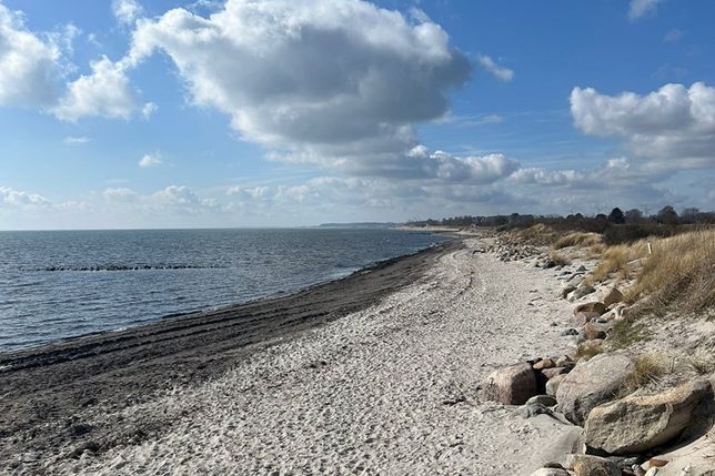 Dieses Leserfoto zeigt den verfärbten Sand am Lenster Strand.