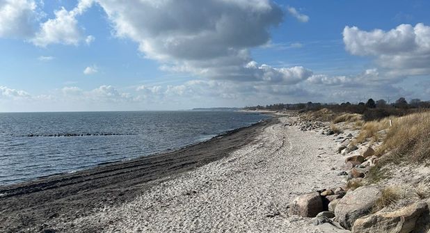 Dieses Leserfoto zeigt den verfärbten Sand am Lenster Strand.