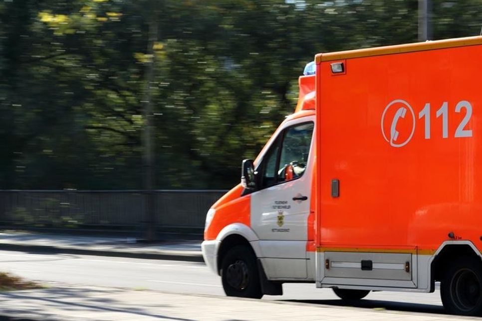 Vorsorglich war der Rettungsdienst vor Ort.