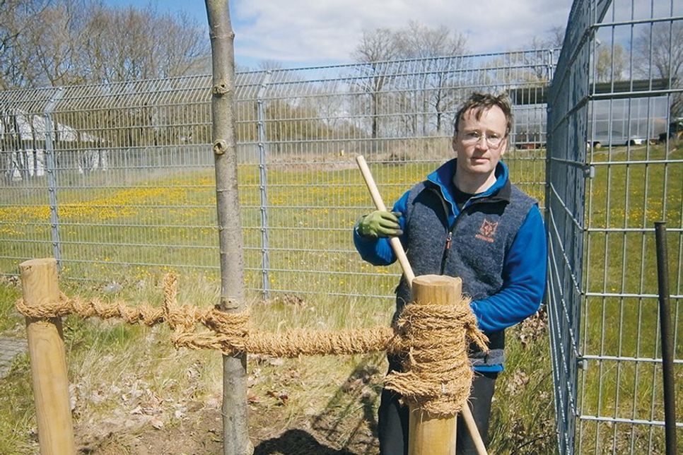 Baumpflanzung am Bauhof in Gleschendorf: Markus Wiegand wünscht dem Baum gutes Wachstum.