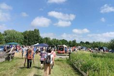 Flohmarkt auf der Wiese des Museumshofes.