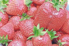 Sie sind saftig, süß und superlecker - die Erdbeeren.