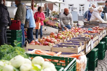 Die Wochenmarkthändler freuen sich auf viele Besucher und stehen für Fragen rund um ihre Produkte gern bereit.