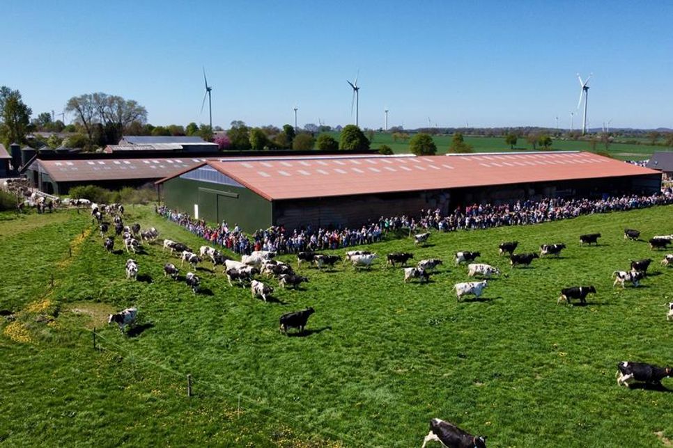 Auch 2026 soll es wieder einen „Kosläpp“ in Koselau geben.