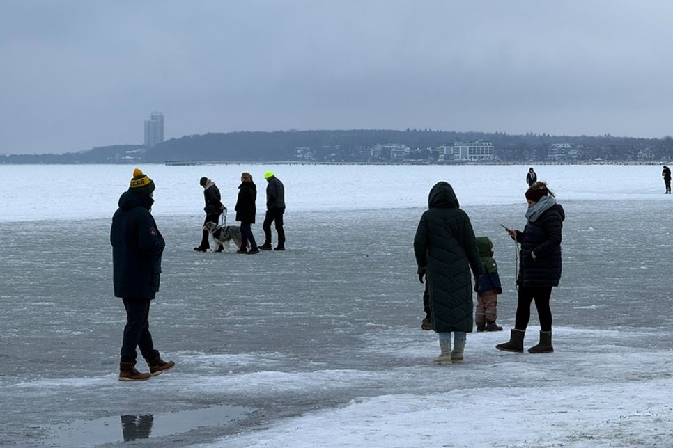 Kinder und Hunde wurden ebenfalls mit auf die vereiste Ostsee genommen, etwas, das von der Scharbeutzer Bürgermeisterin Bettina Schäfer kritisiert wurde.