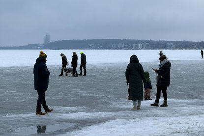 Kinder und Hunde wurden ebenfalls mit auf die vereiste Ostsee genommen, etwas, das von der Scharbeutzer Bürgermeisterin Bettina Schäfer kritisiert wurde.