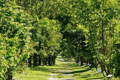 Der 2,4 Kilometer lange Naturlehrpfad ist einmalig in seiner Art.