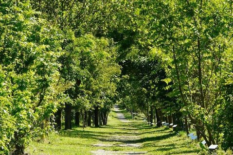 Der 2,4 Kilometer lange Naturlehrpfad ist einmalig in seiner Art.