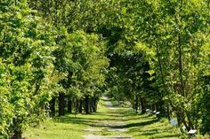 Der 2,4 Kilometer lange Naturlehrpfad ist einmalig in seiner Art.