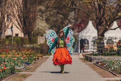 (Foto: Landesgartenshau Höxter)