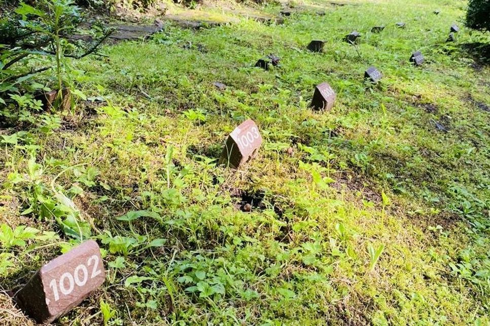 Der Arbeitskreis ist auf Spenden angewiesen, um die Umgestaltung des Friedhofes als Mahnmal zum Erinnern und Reflektieren final realisieren zu können.