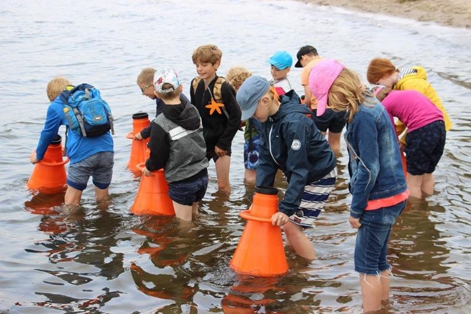 Mit Aquascopen durften die Kinder die Unterwasserwelt beobachten.