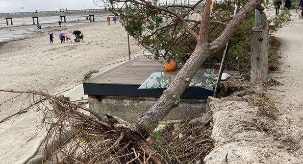 Die Sturmflut 2023 hat an der Promenade in Kellenhusen große Schäden angerichtet und teilweise sogar Bäume entwurzelt.