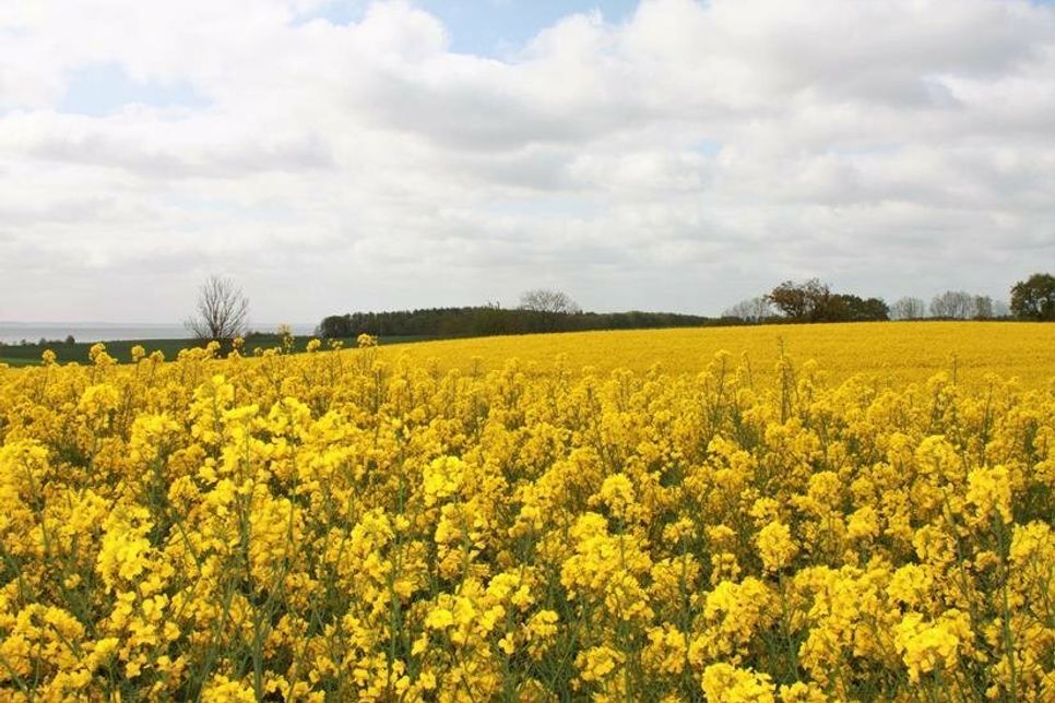 Fotostopp in Grömitz.