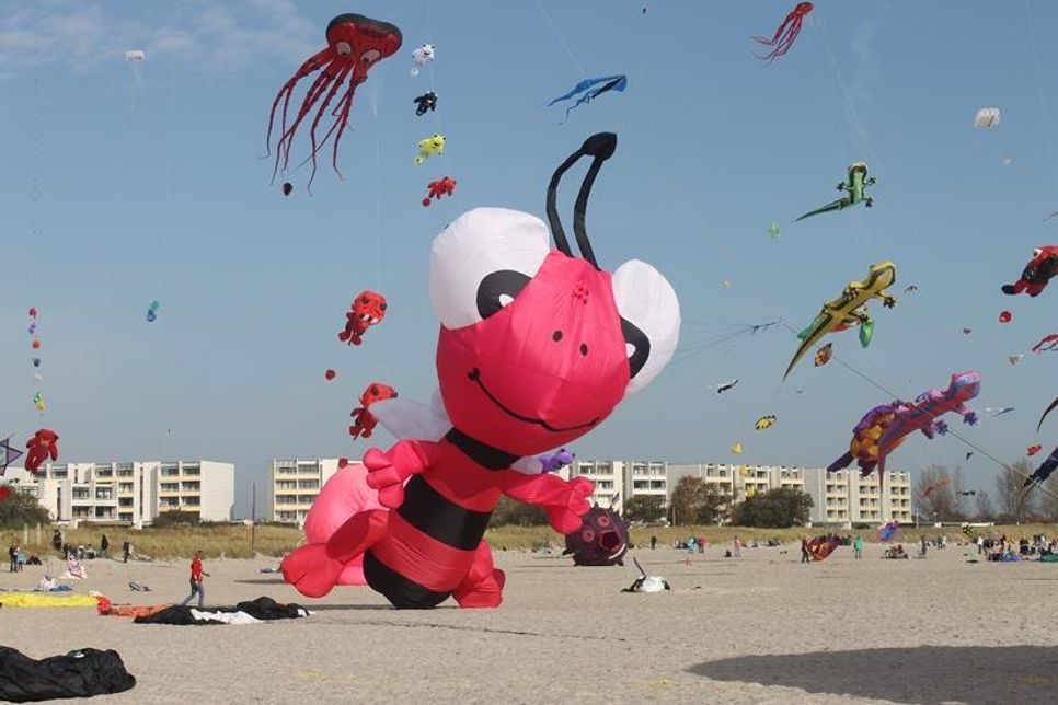 Drachenfest Fehmarn