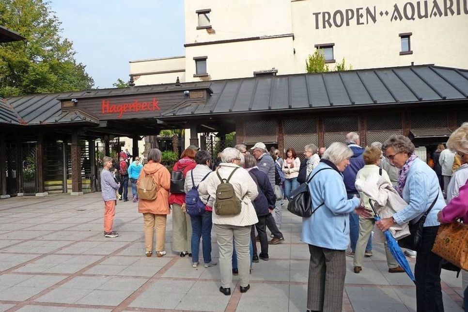 Neustadt/Hamburg. Der Seniorenbeirat Neustadt veranstaltete eine Busreise nach Hamburg zu “Hagenbecks Tierpark“. Bei idealem Wetter genossen die Mitreisenden ihren Aufenthalt im Gelände bei den Tieren und deren Behausungen, in der Eismeeranlage oder, wer mochte, in der Faszination des Tropenaquariums. Nach über vier Stunden des Schauens und Staunens traf man sich zur Rückfahrt. (red)